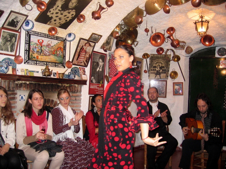 Flamenco workshop 