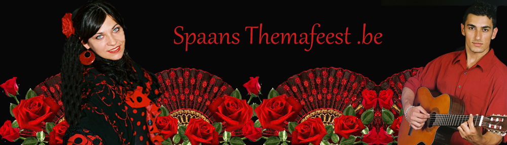 Spaans themafeest
